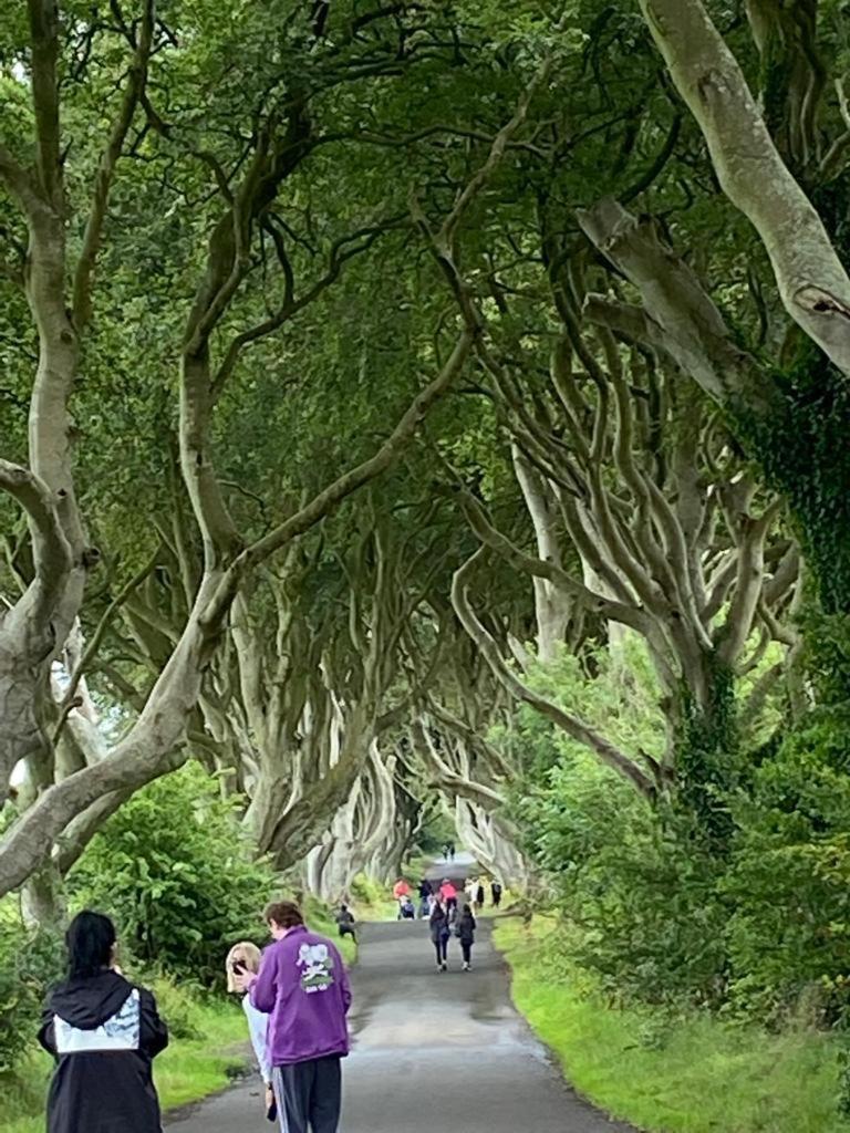 Ballywalter The Old Vicarage Ni B&B المظهر الخارجي الصورة