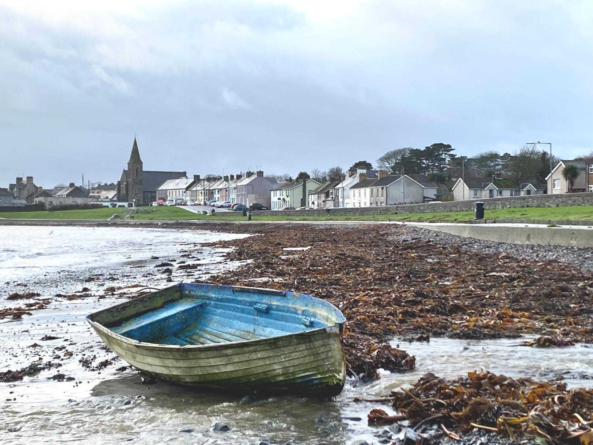 Ballywalter The Old Vicarage Ni B&B المظهر الخارجي الصورة